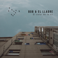 Bob & El Lladre, El Color De La Nit